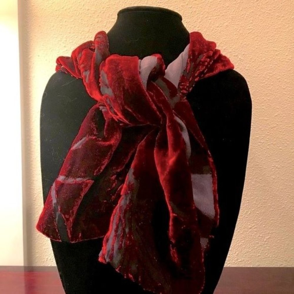 NEW Saldarini Luxurious Burnout Velvet & Silk Scarf  NWOT - Picture 3 of 12